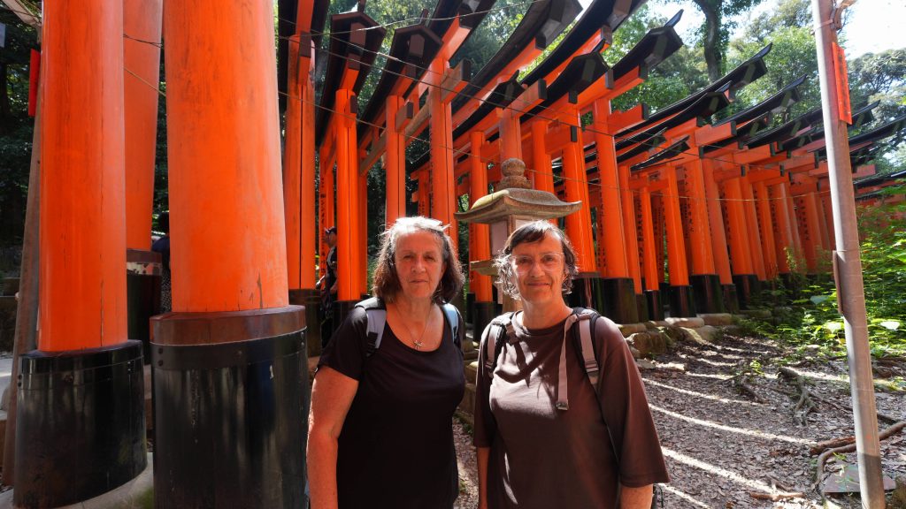 Kyoto in One Day: NOKU KYOTO & Tenryuji (500+300) by walking