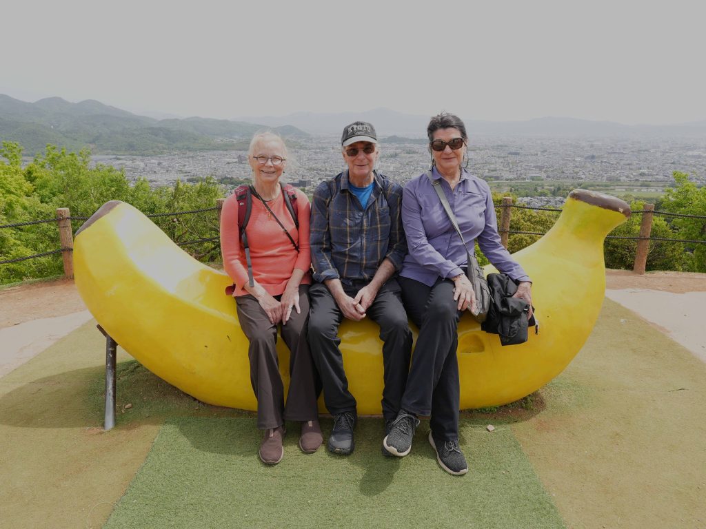 Kyoto in One Day: Hotel Tou Nishinotoin Kyoto & Ryoanji (600) by taxi