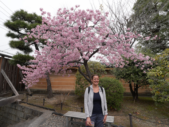 Kyoto in One Day: Hotel Vischio Kyoto by Granvia & Kenninji by walking
