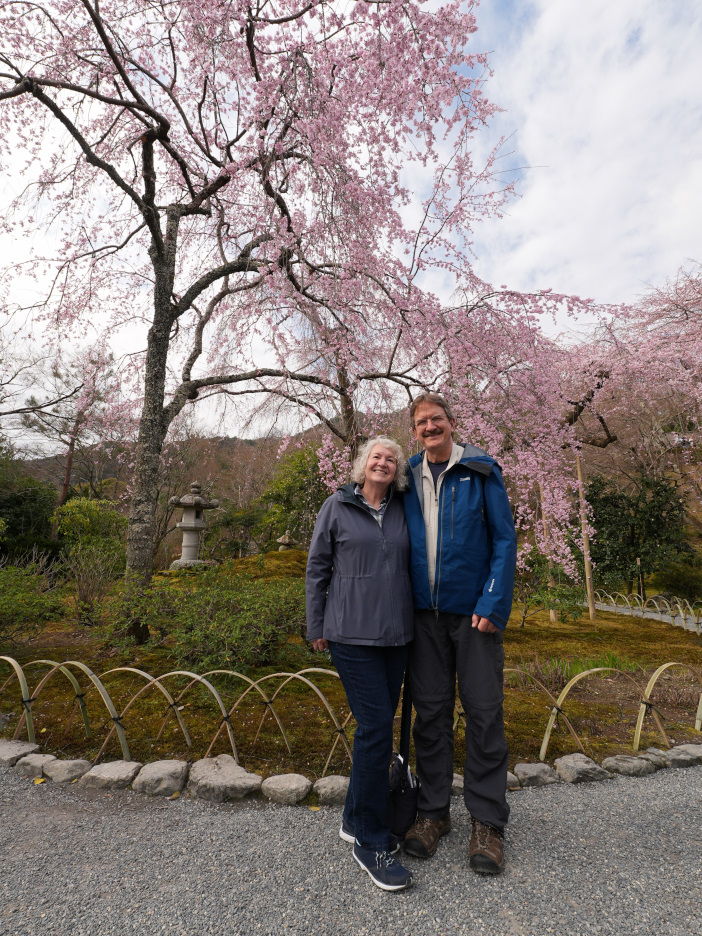 Kyoto in One Day: Tune Stay Kyoto & Gion by taxi