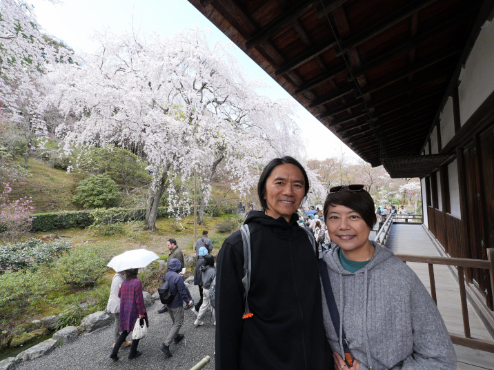 Kyoto in One Day: The Blossom Kyoto & Kyoto Sta.　by JR train