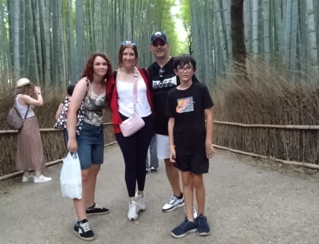 Osaka in One Day: to  14:45        Yasaka Pagoda