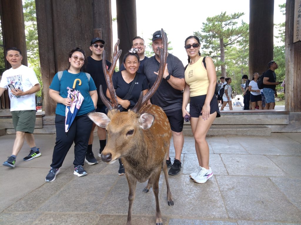 Nara Customized Private Tour in 1 Day