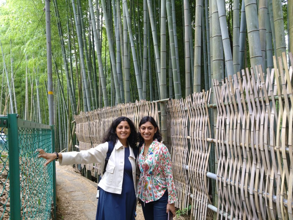 Kyoto in One Day: to 11:15     Kodai-ji Temple
