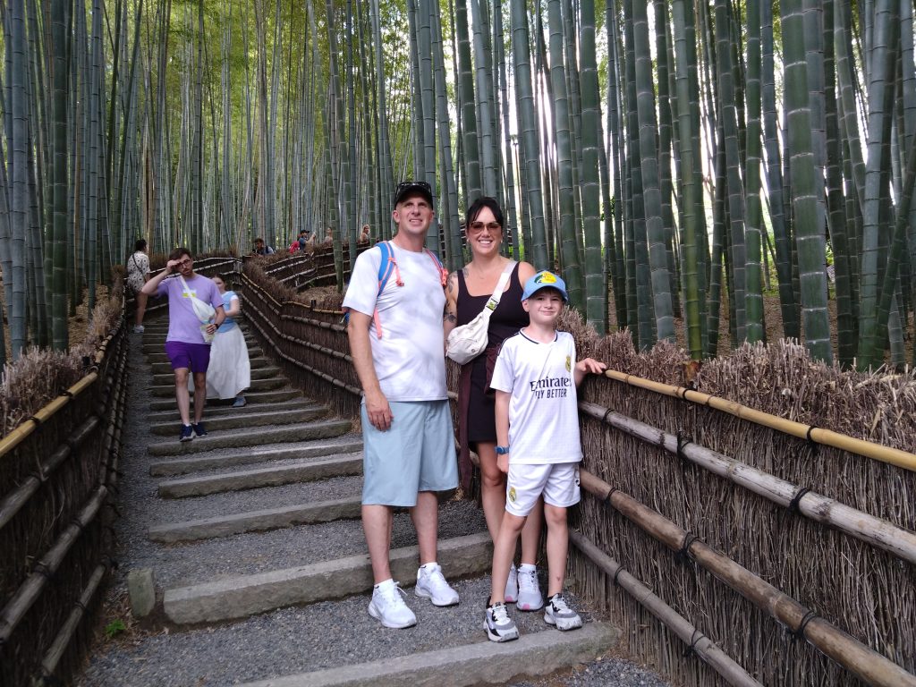 Osaka in One Day: to 11:50     Kinkaku-ji Temple & to 15:50      Gion