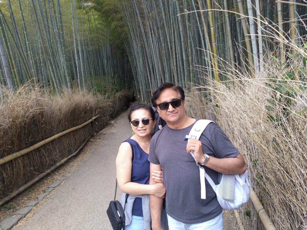 Osaka in One Day: to 11:00  Kinkaku-ji Temple & to 14:40  Gion