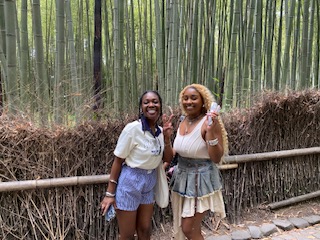 Kyoto in Half a Day: Fushimi Inari sightseeing