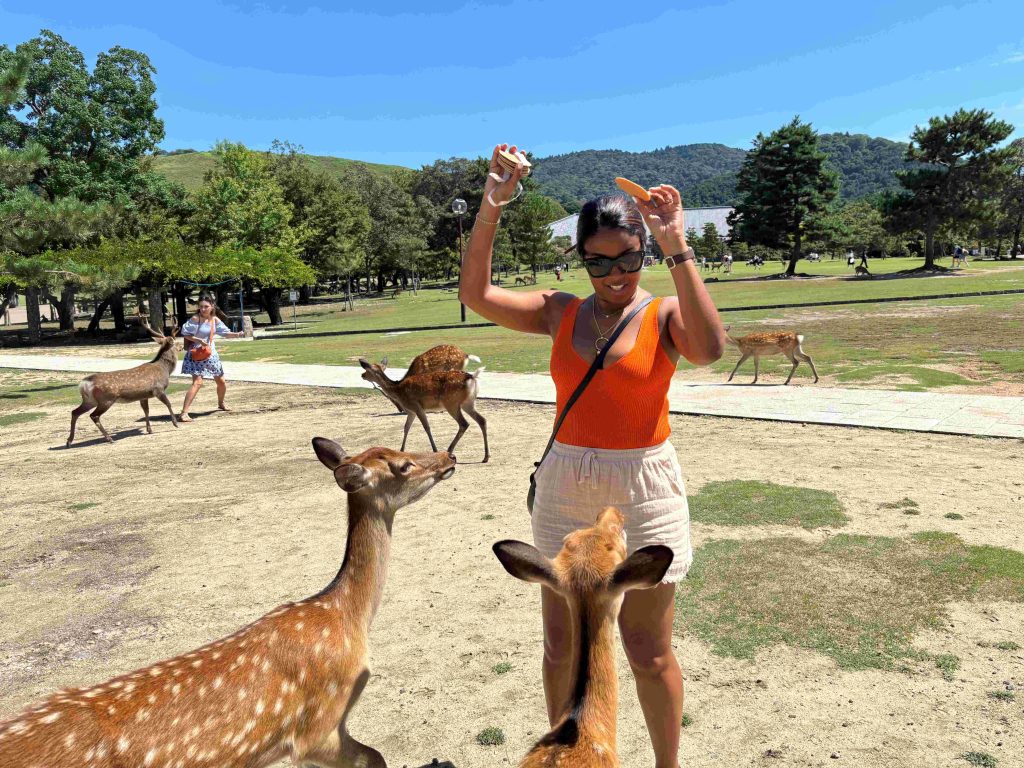 Nara in One Day: Kintetsu Nara Station & Todaiji Temple