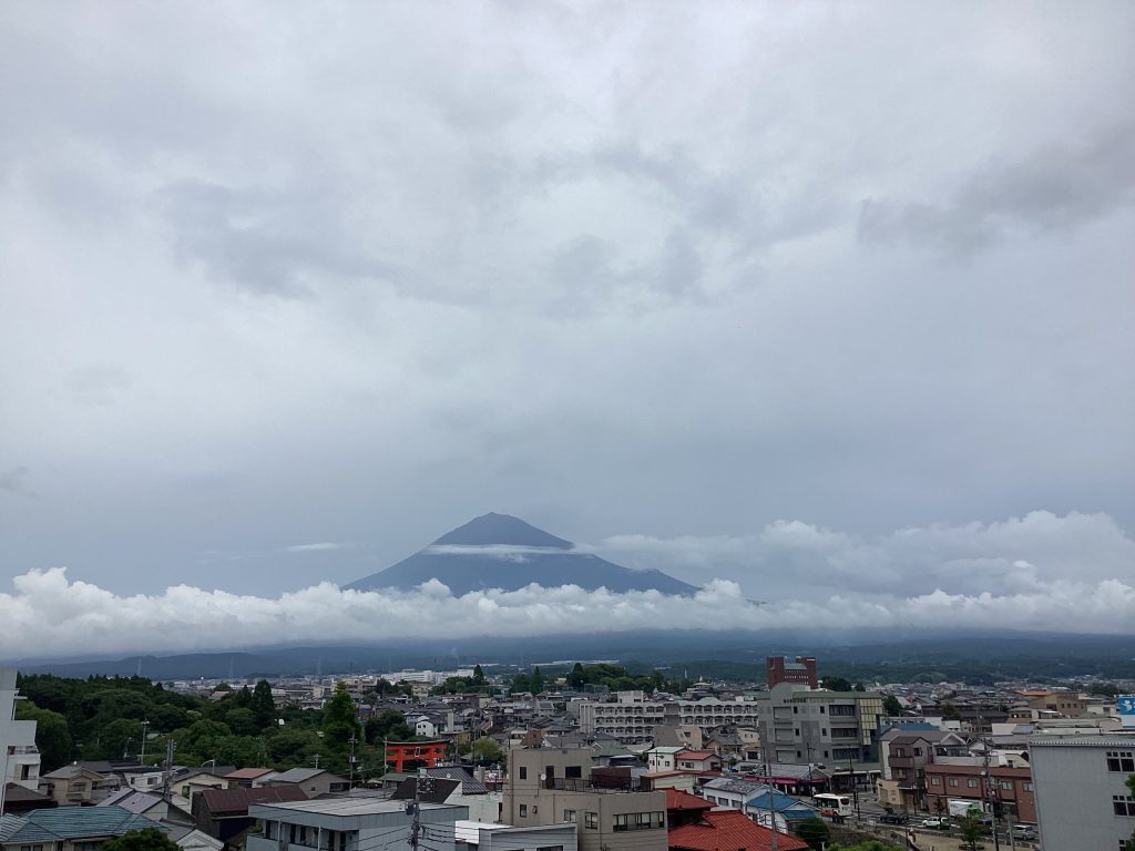 Mt. Fuji View Shimizu Customized Tour