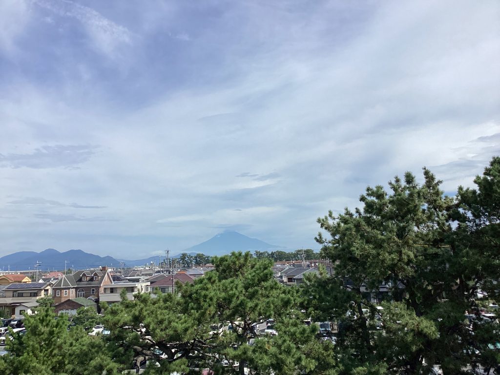 Mt. Fuji View Shimizu Customized Tour