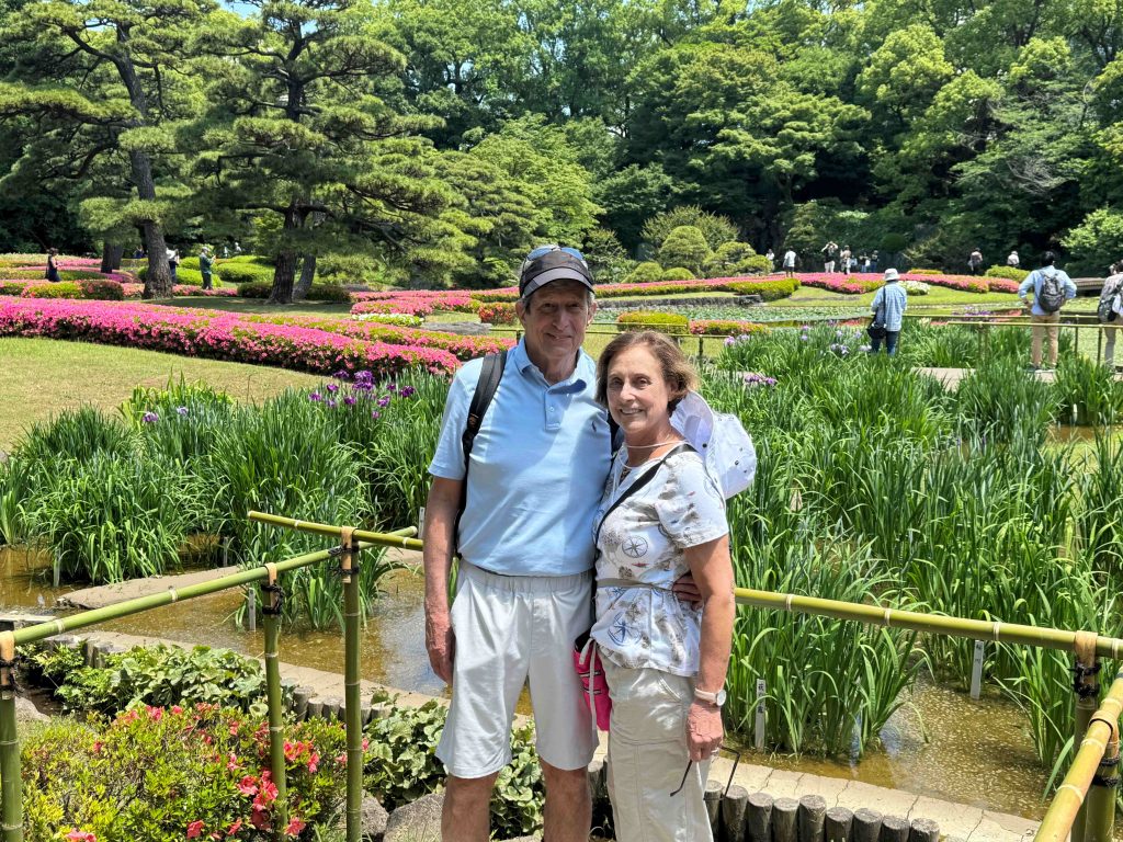 Tokyo in One Day: Tsukiji & Meiji Shrine