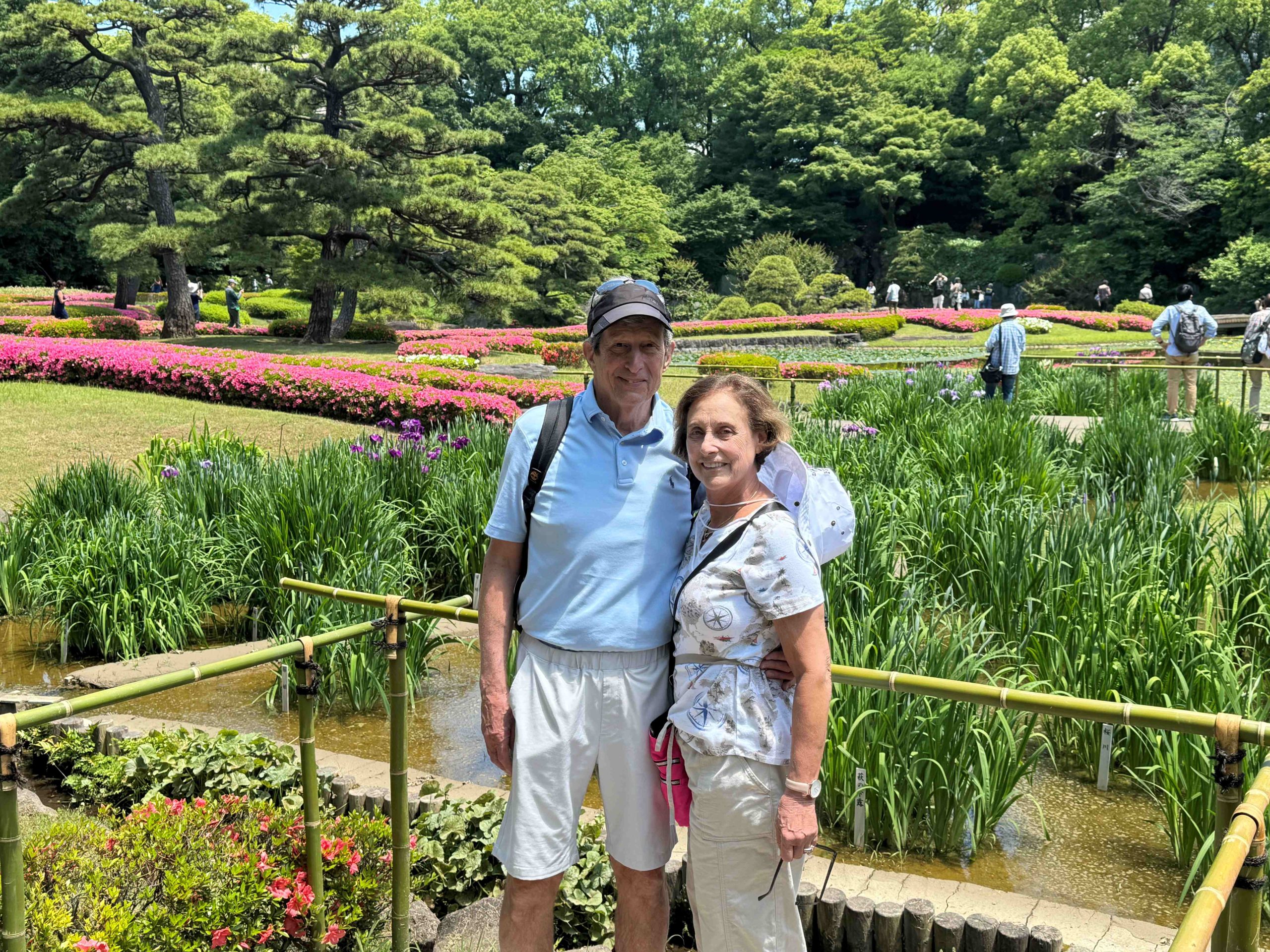 Tokyo in One Day: Tsukiji & Meiji Shrine