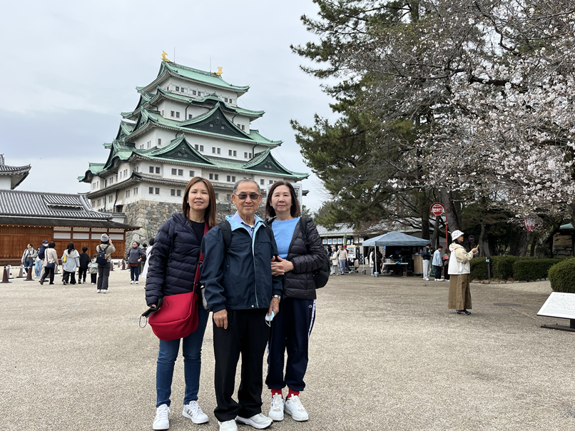 Nagoya / Aichi Full-day Private Custom Tour with National