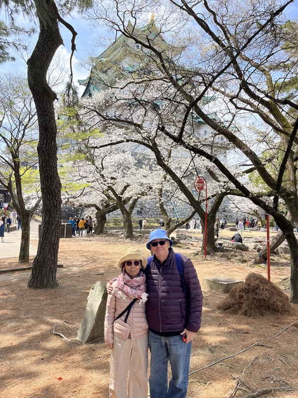 Nagoya Customized Half-Day Tour