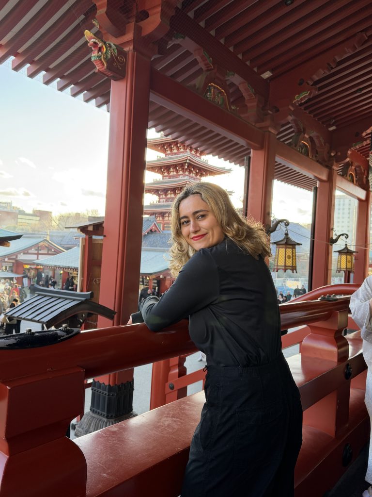 Tokyo Customized Private Tour in 1 Day