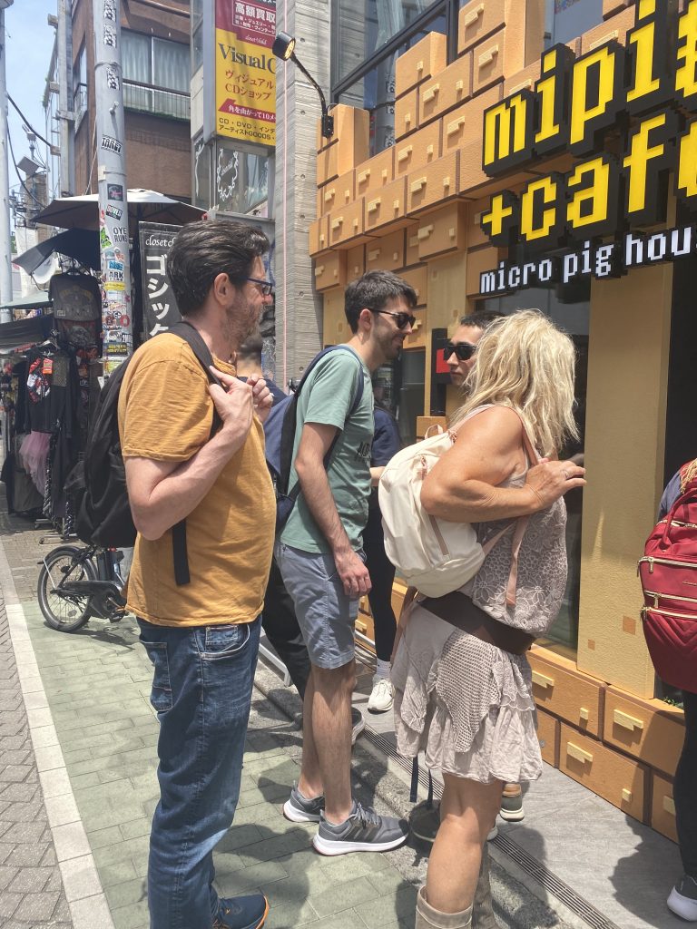 Tokyo in 1 Day from Yokohama: Private Tour