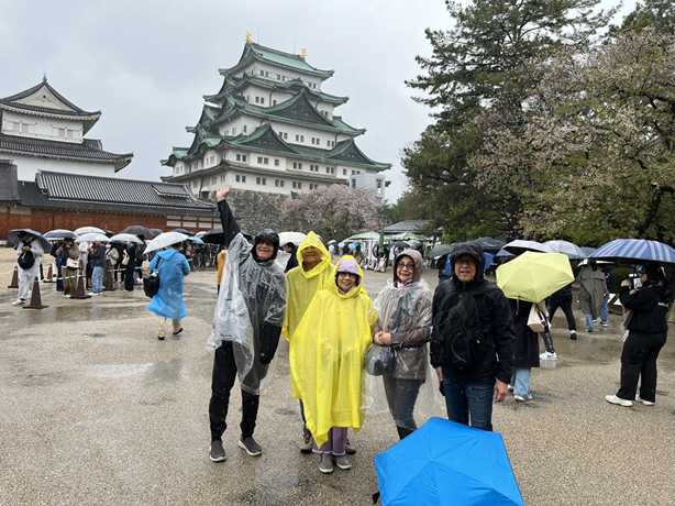 Nagoya / Aichi Full-day Private Custom Tour with National