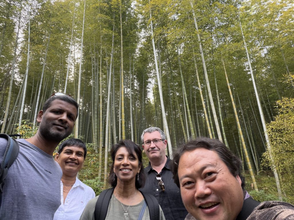 Kyoto in One Day: walk to Kyoto Station & Kinkakuji Temple