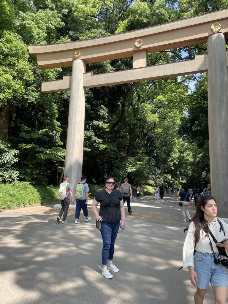 Tokyo Customized Private Tour in 1 Day