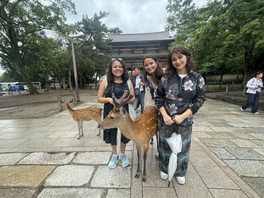 Nara Customized Private Tour in 1 Day