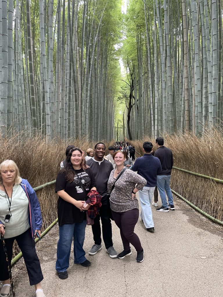 Kyoto in Half a Day: Tenryu-ji Temple & Fushimi Inari Taisha