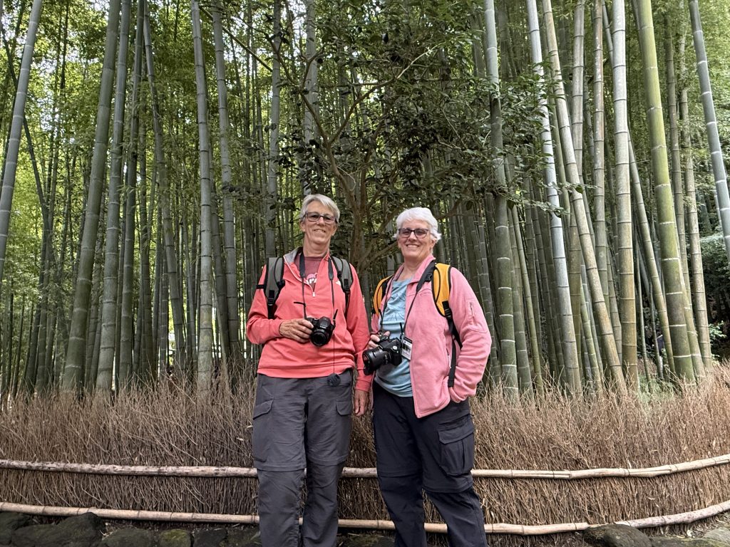 Kamakura Day Trip from Tokyo in 1 Day