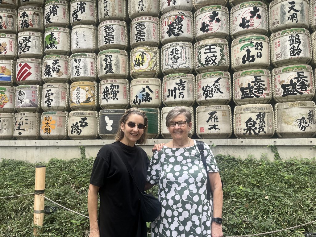 Tokyo in One Day: JR Shinjuku Station & Guided tour of Akihabara