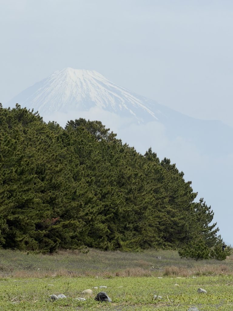 Shimizu Shore Excursion: Mt. Fuji View Tour