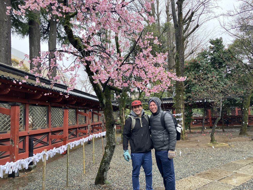 Tokyo in One Day: Sensoji Temple and others & Shibuya