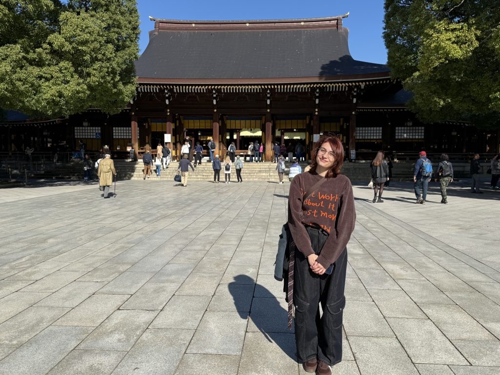 Tokyo Customized Full-Day Private Tour