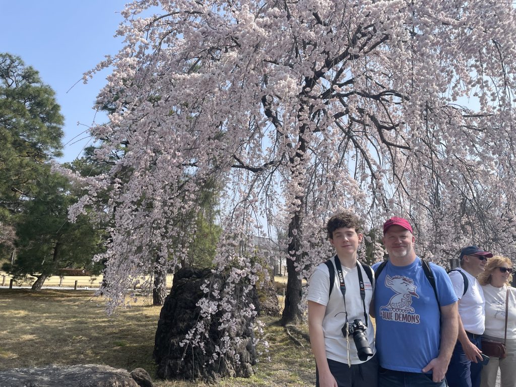 Kyoto in One Day: Nijo Castle & Arashiyama