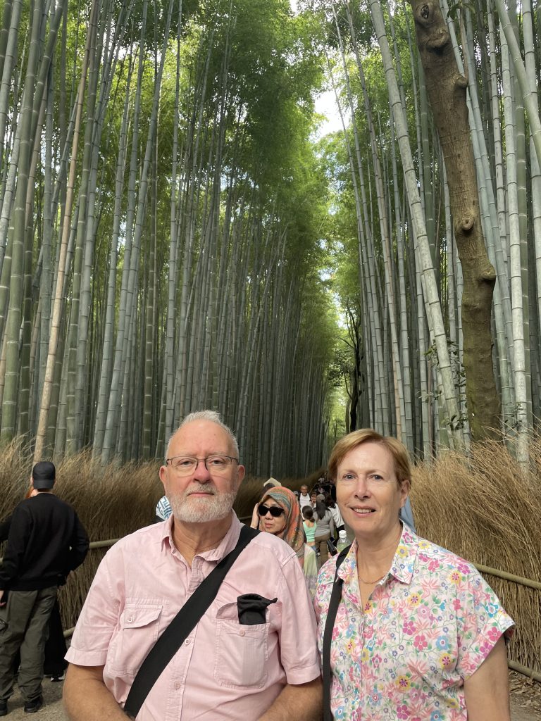 Kyoto Customized Private Tour in 1 Day