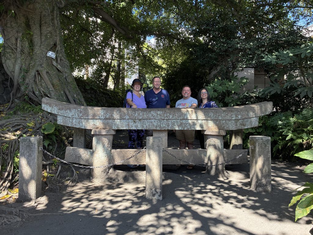Kagoshima Shore Excursion: Custom Car Tour