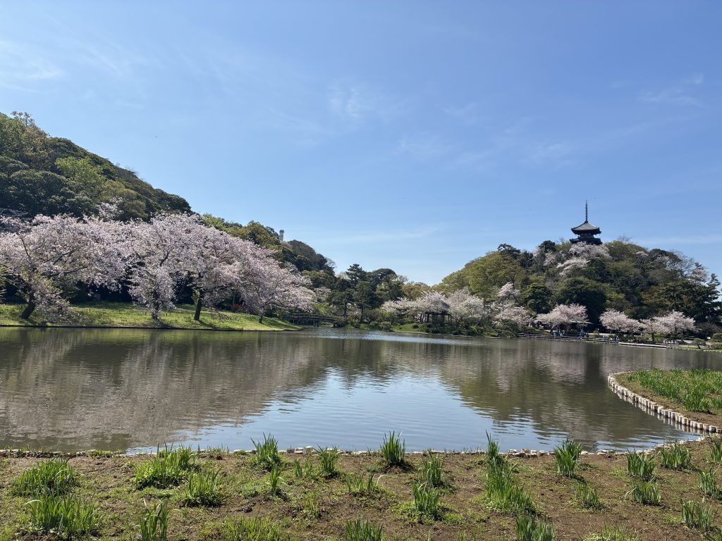 Yokohama Customized Half-Day Tour