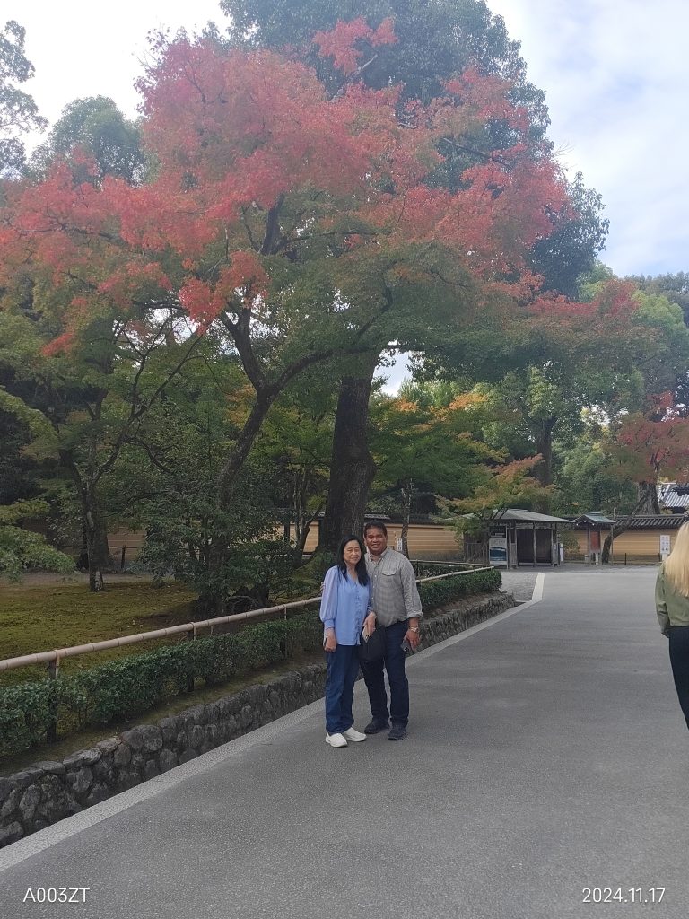 Others: Nijo Castle & Kiyomizu-dera Temple