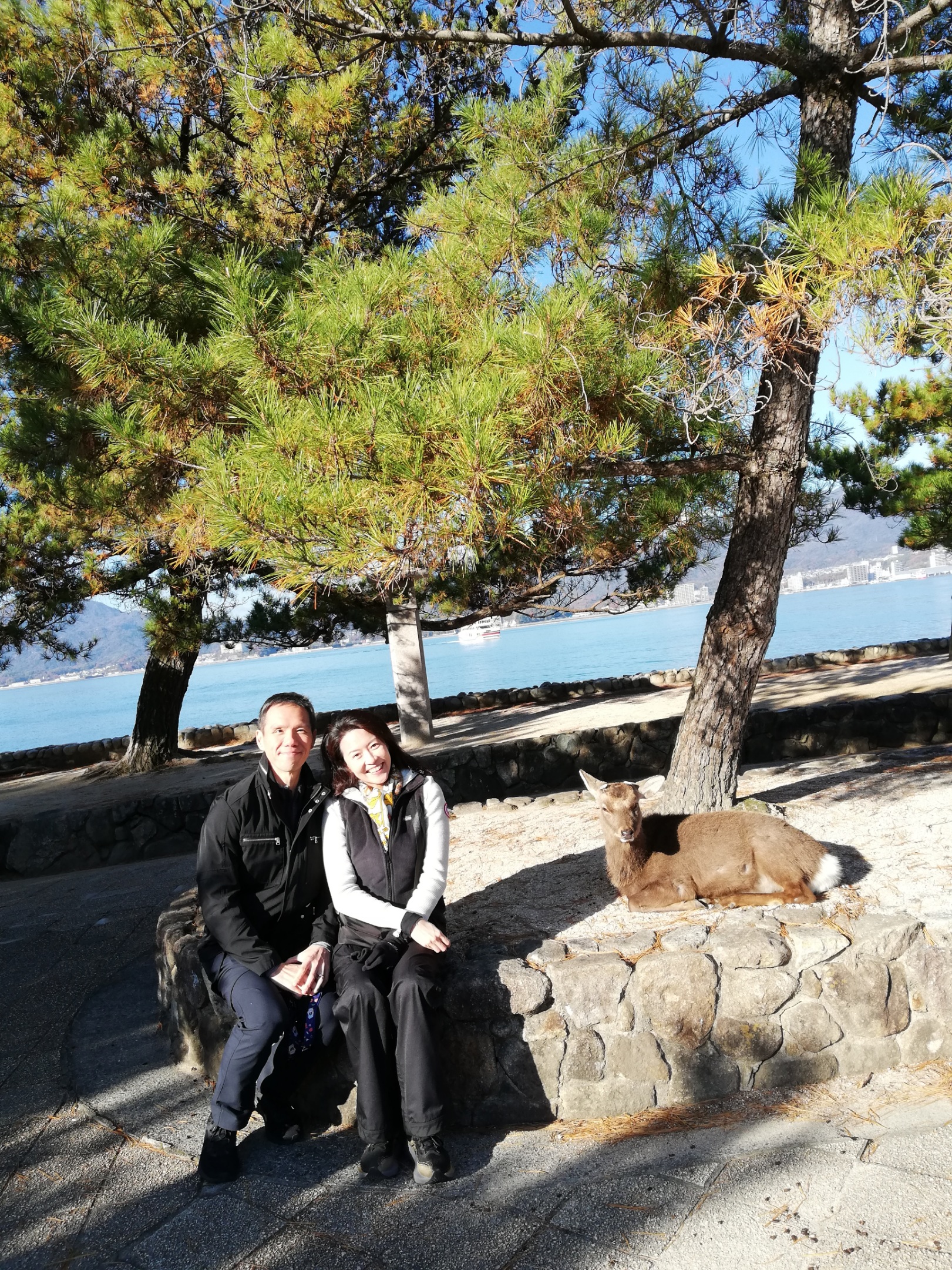 Hiroshima in One Day: Taking JR train to Miyajima-guchi