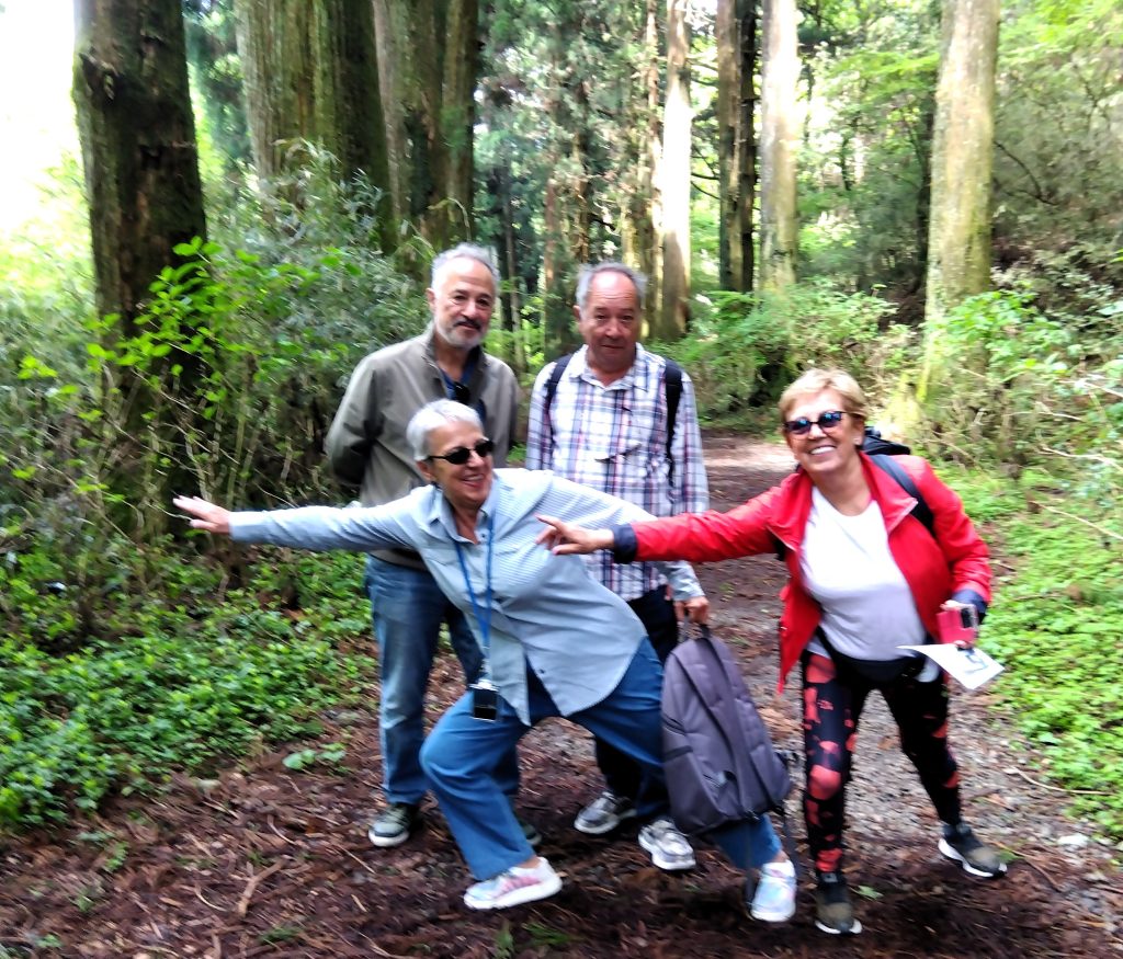 Hakone in 1 Day by Private Car