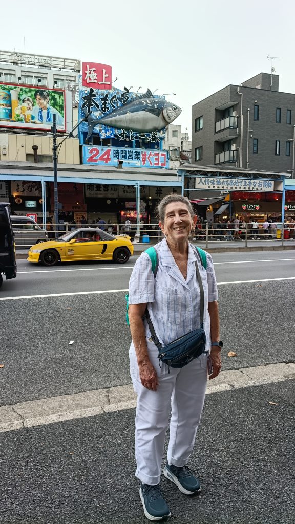 Tokyo Customized Private Tour in 1 Day