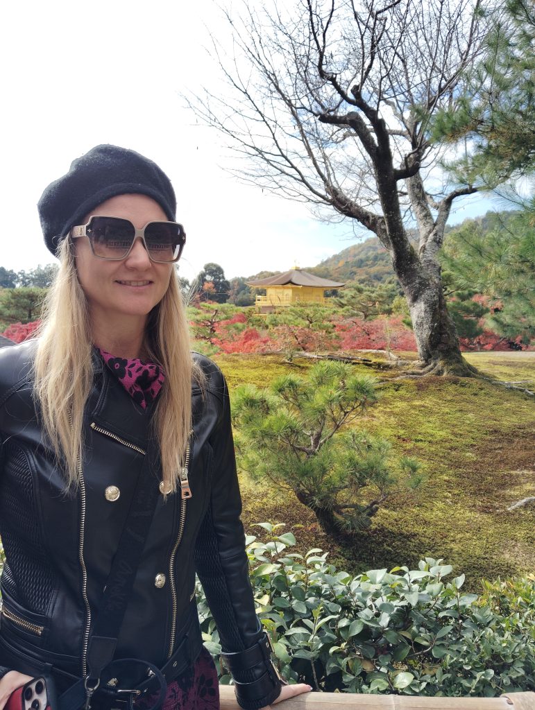 Kyoto in One Day: Kinkaku-ji Temple & Nijo Castle