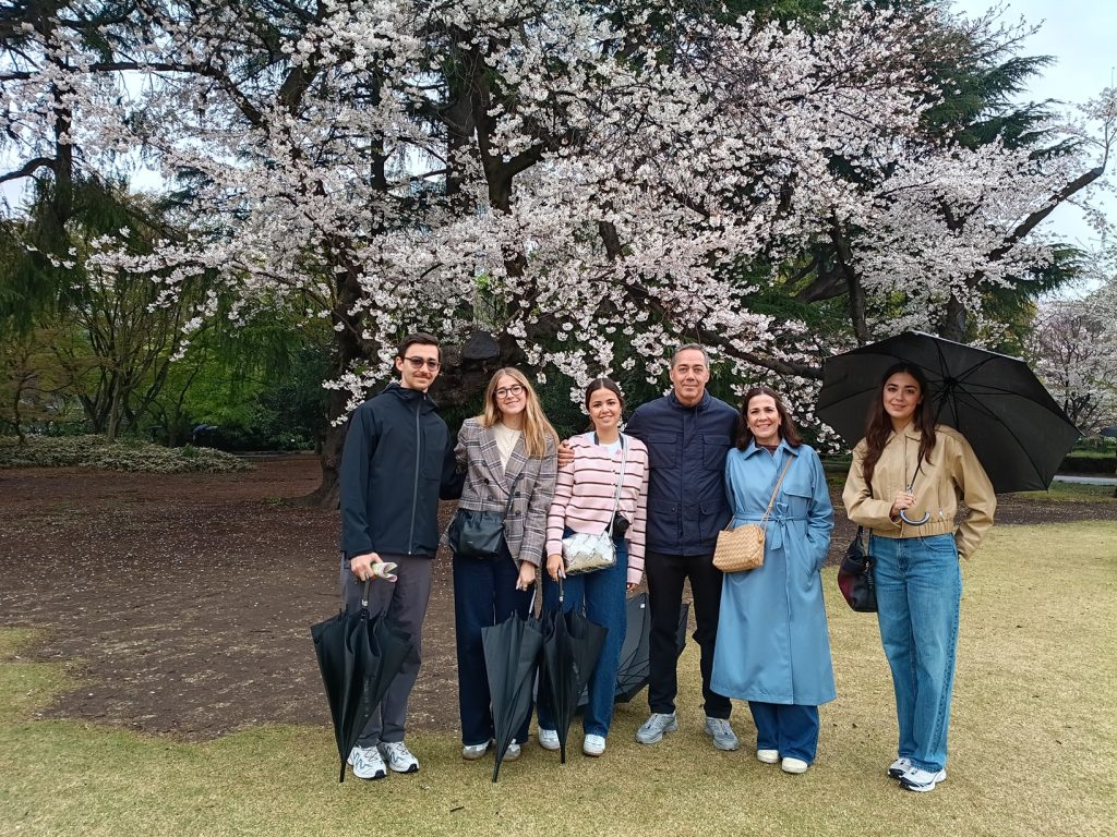 Tokyo Customized Private Tour in 1 Day