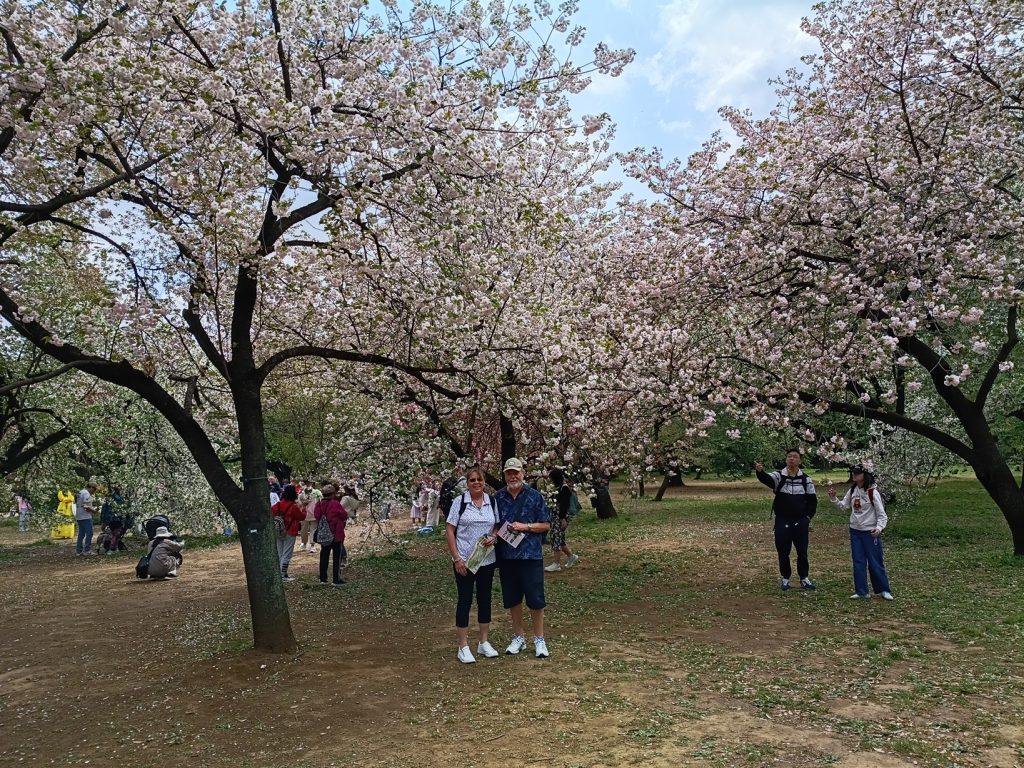 Tokyo Customized Private Tour in 1 Day