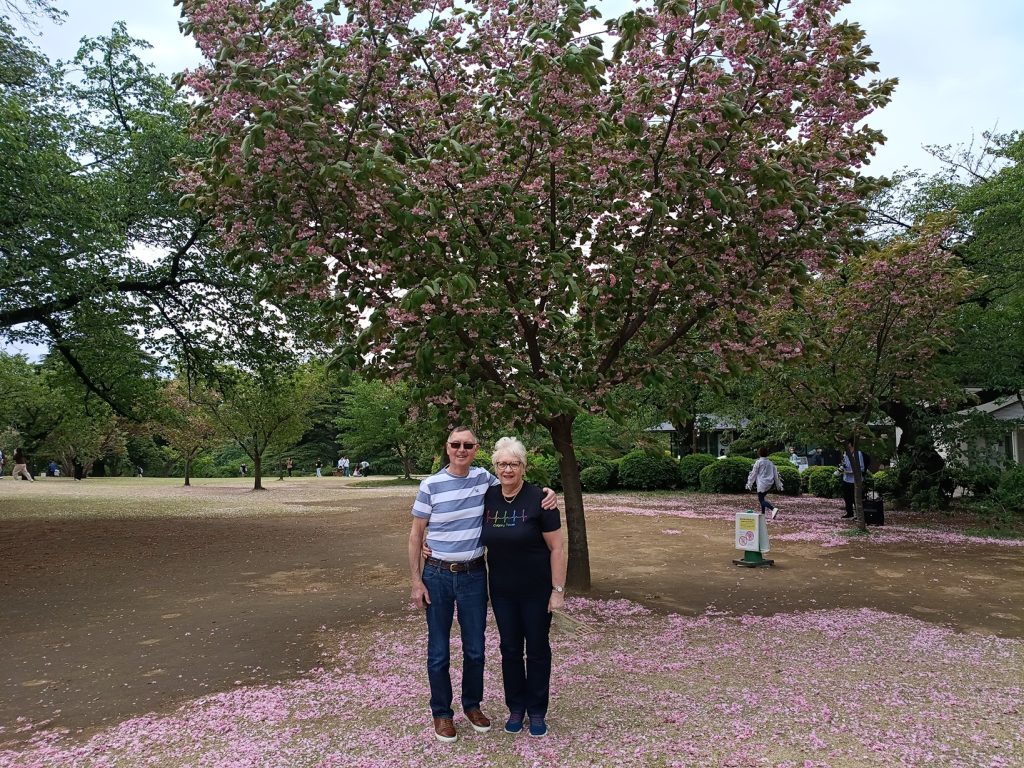 Tokyo Customized Private Tour in 1 Day