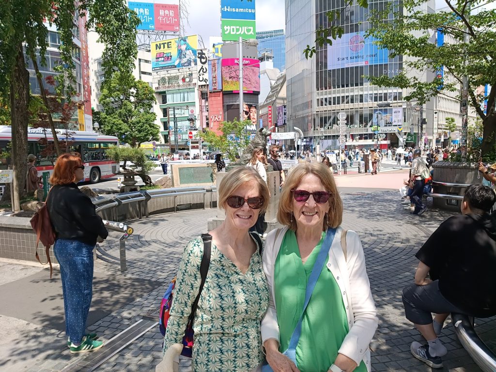 Tokyo Customized Private Tour in 1 Day