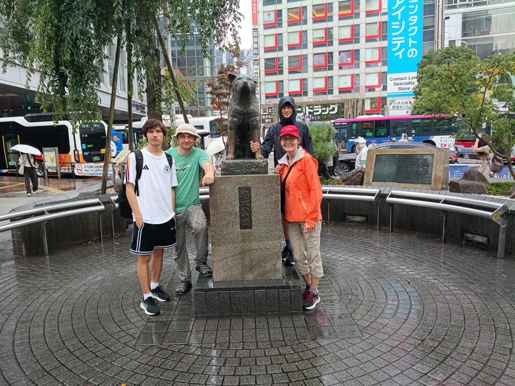 Tokyo Customized Private Tour in 1 Day