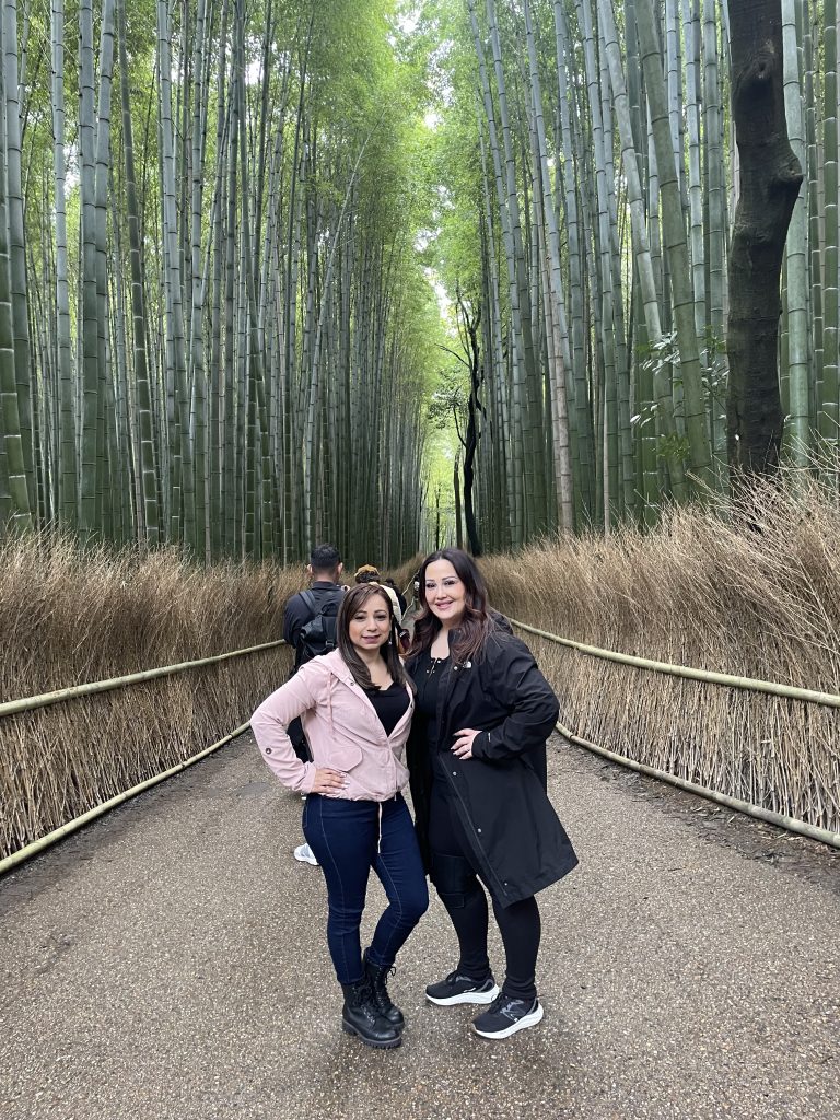 Kyoto: Arashiyama Bamboo Grove Walk & Late lunch at Gion Gonbei