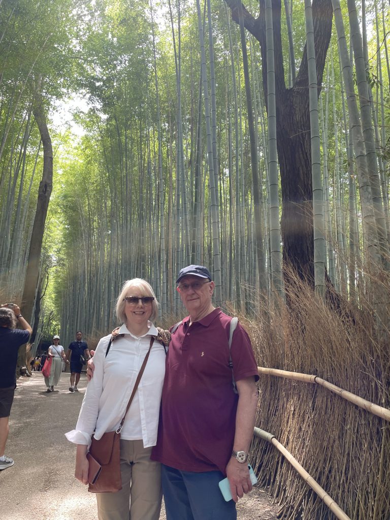 Kyoto Customized Private Tour in 1 Day