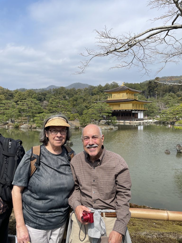 Kyoto in One Day: Kinkaku-ji Temple & Fushimi Inari Taisha Shrine