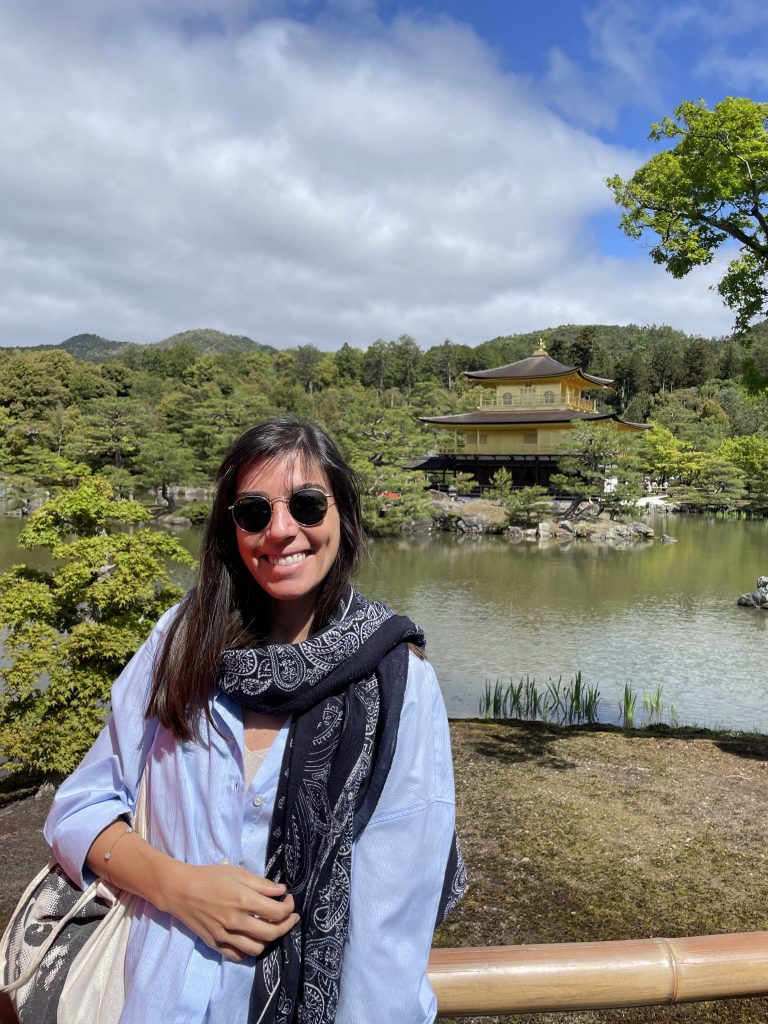 Kyoto in Half a Day: Kinkakuji Temple & Myoshinji Taizo-in