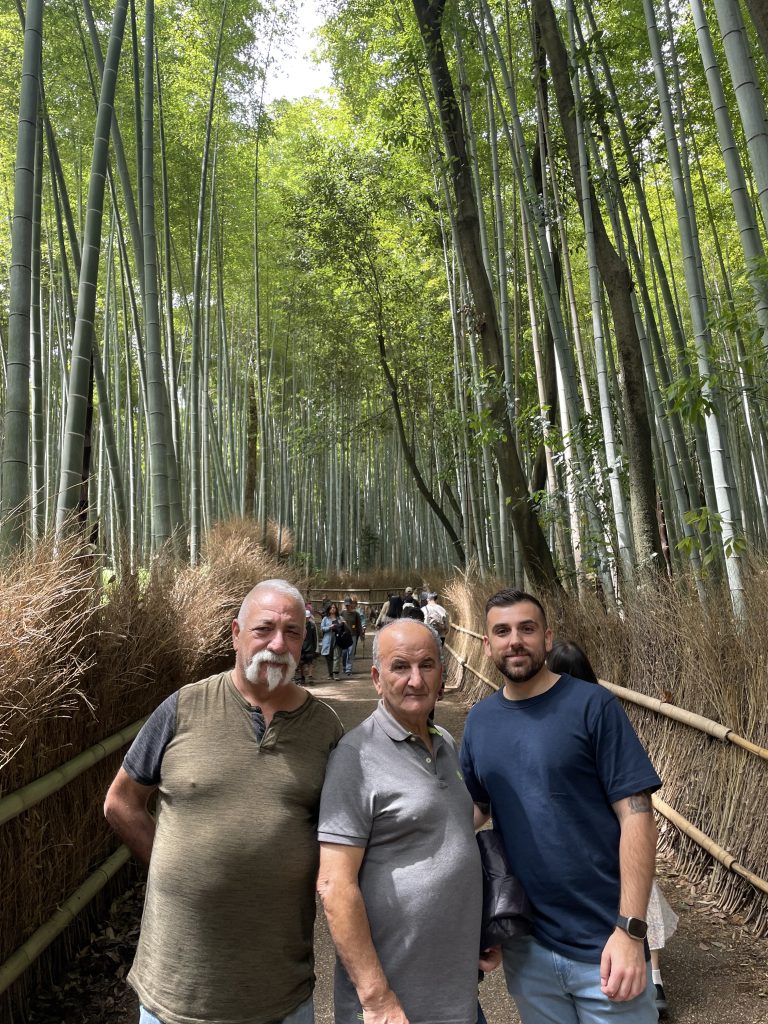 Kyoto in One Day: Arashiyama Togetsukyo Bridge & Kiyomizu-dera Temple