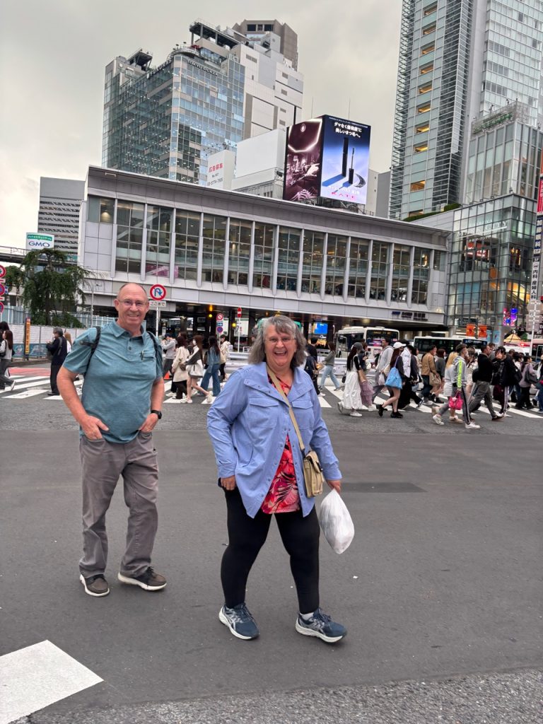 Tokyo in 1 Day from Yokohama: Private Tour